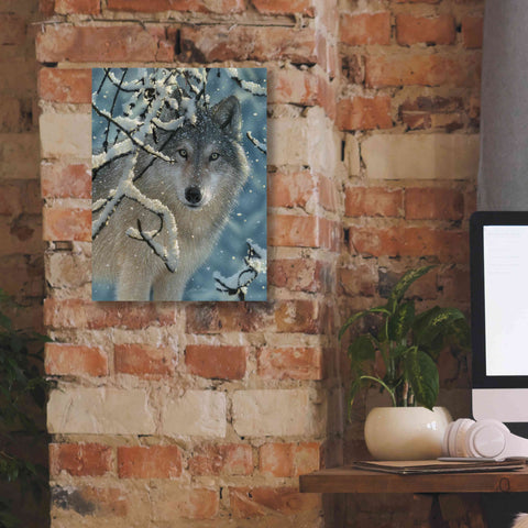 Image of 'Broken Silence' by Collin Bogle, Canvas Wall Art,12x16