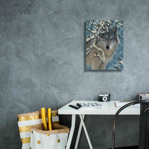 Image of 'Broken Silence' by Collin Bogle, Canvas Wall Art,12x16