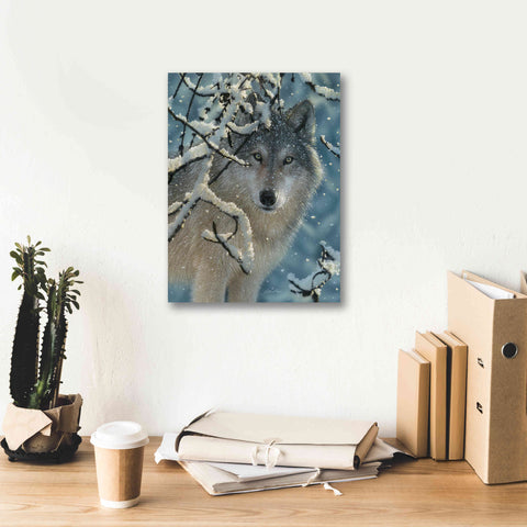 Image of 'Broken Silence' by Collin Bogle, Canvas Wall Art,12x16