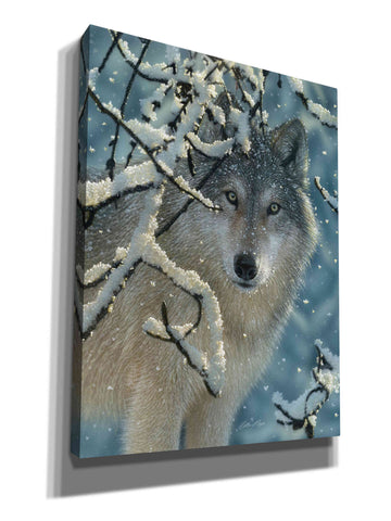 Image of 'Broken Silence' by Collin Bogle, Canvas Wall Art,Size C Portrait