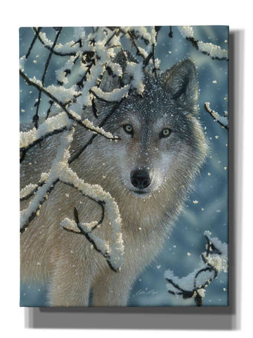 Image of 'Broken Silence' by Collin Bogle, Canvas Wall Art,Size C Portrait