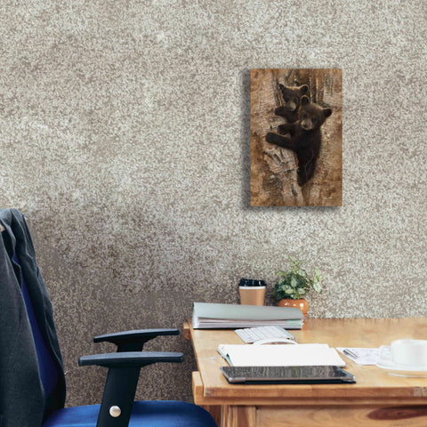 Image of 'Curious Cubs' by Collin Bogle, Canvas Wall Art,12x18