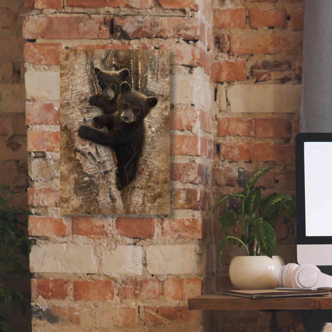 Image of 'Curious Cubs' by Collin Bogle, Canvas Wall Art,12x18