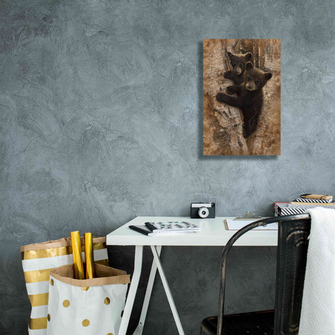 Image of 'Curious Cubs' by Collin Bogle, Canvas Wall Art,12x18