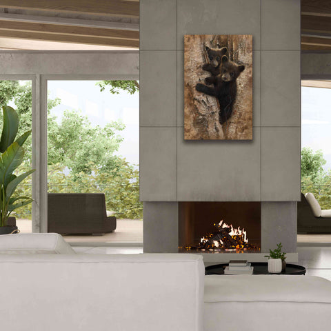 Image of 'Curious Cubs' by Collin Bogle, Canvas Wall Art,26x40