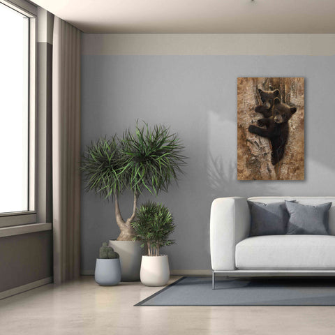 Image of 'Curious Cubs' by Collin Bogle, Canvas Wall Art,26x40
