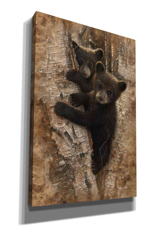Image of 'Curious Cubs' by Collin Bogle, Canvas Wall Art,Size A Portrait