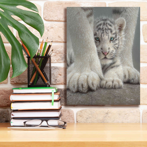 Image of 'Sheltered' by Collin Bogle, Canvas Wall Art,12x16