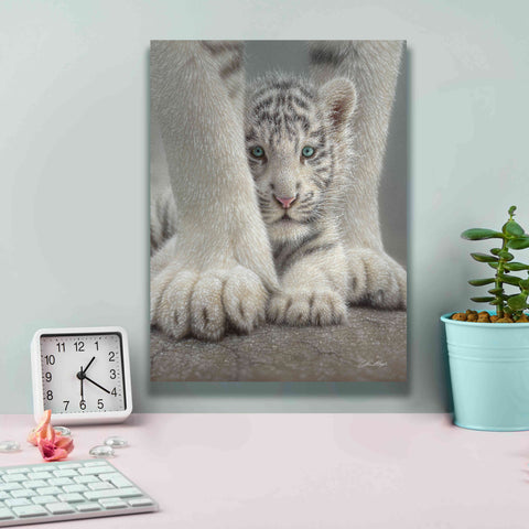 Image of 'Sheltered' by Collin Bogle, Canvas Wall Art,12x16