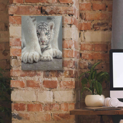 Image of 'Sheltered' by Collin Bogle, Canvas Wall Art,12x16