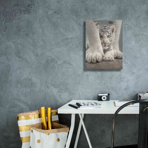 Image of 'Sheltered' by Collin Bogle, Canvas Wall Art,12x16