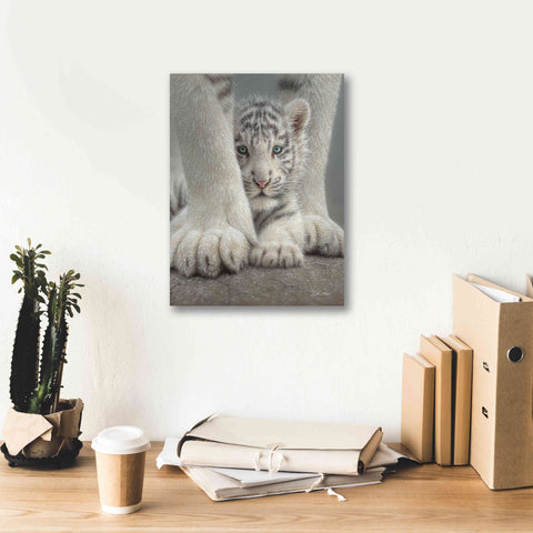 Image of 'Sheltered' by Collin Bogle, Canvas Wall Art,12x16