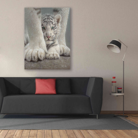 Image of 'Sheltered' by Collin Bogle, Canvas Wall Art,40x54