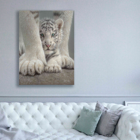 Image of 'Sheltered' by Collin Bogle, Canvas Wall Art,40x54