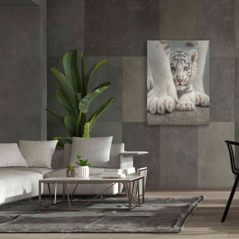 Image of 'Sheltered' by Collin Bogle, Canvas Wall Art,40x54