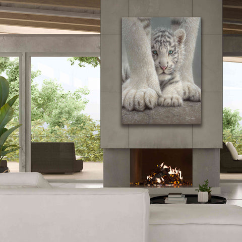 Image of 'Sheltered' by Collin Bogle, Canvas Wall Art,40x54