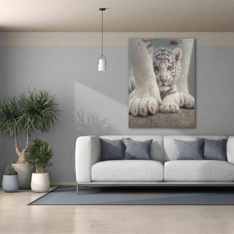 Image of 'Sheltered' by Collin Bogle, Canvas Wall Art,40x54