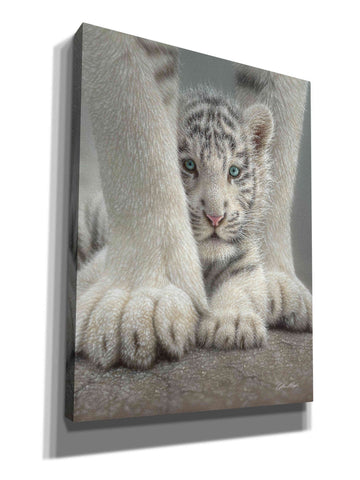 Image of 'Sheltered' by Collin Bogle, Canvas Wall Art,Size C Portrait