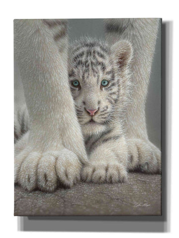 Image of 'Sheltered' by Collin Bogle, Canvas Wall Art,Size C Portrait