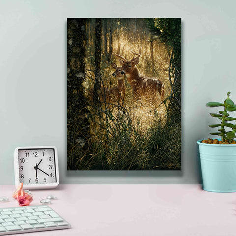 Image of 'A Golden Moment Portrait' by Collin Bogle, Canvas Wall Art,12x16