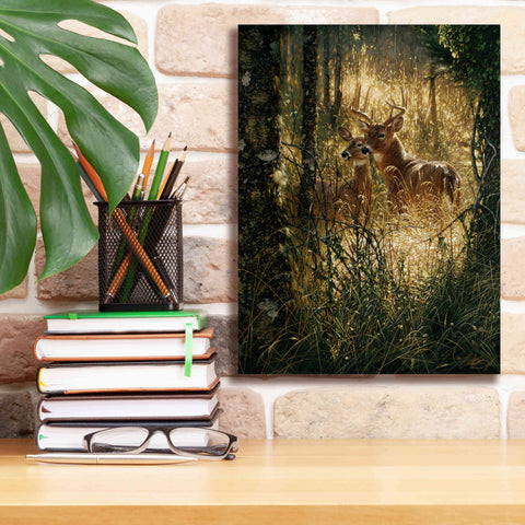 Image of 'A Golden Moment Portrait' by Collin Bogle, Canvas Wall Art,12x16