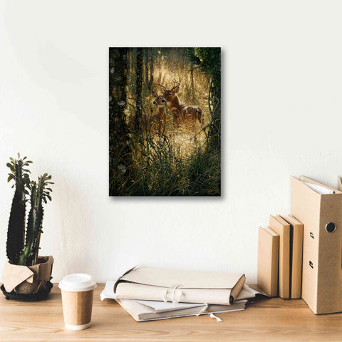 Image of 'A Golden Moment Portrait' by Collin Bogle, Canvas Wall Art,12x16