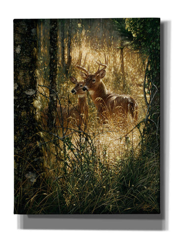 Image of 'A Golden Moment Portrait' by Collin Bogle, Canvas Wall Art,Size C Portrait