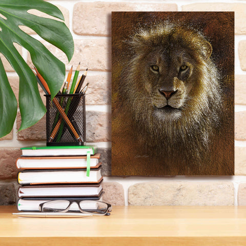 Image of 'Face Off' by Collin Bogle, Canvas Wall Art,12x16