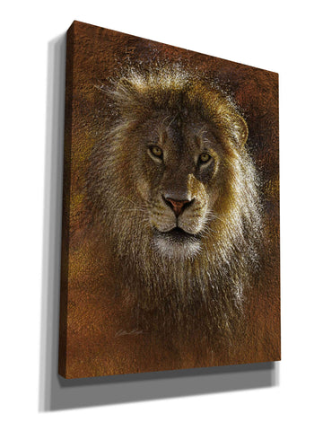 Image of 'Face Off' by Collin Bogle, Canvas Wall Art,Size C Portrait