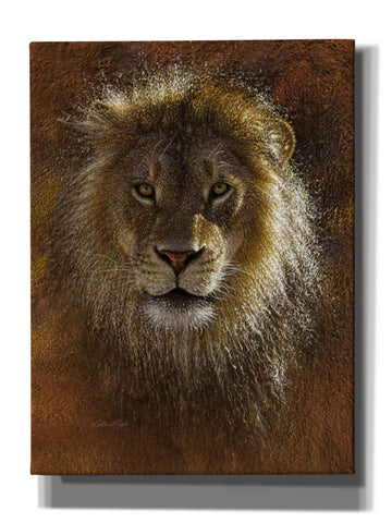 Image of 'Face Off' by Collin Bogle, Canvas Wall Art,Size C Portrait