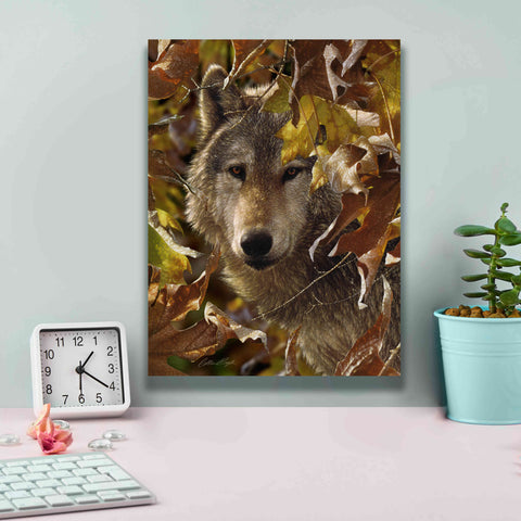 Image of 'Autumn Shadows' by Collin Bogle, Canvas Wall Art,12x16