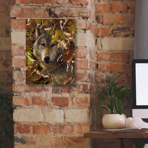 Image of 'Autumn Shadows' by Collin Bogle, Canvas Wall Art,12x16