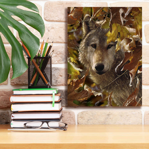 Image of 'Autumn Shadows' by Collin Bogle, Canvas Wall Art,12x16