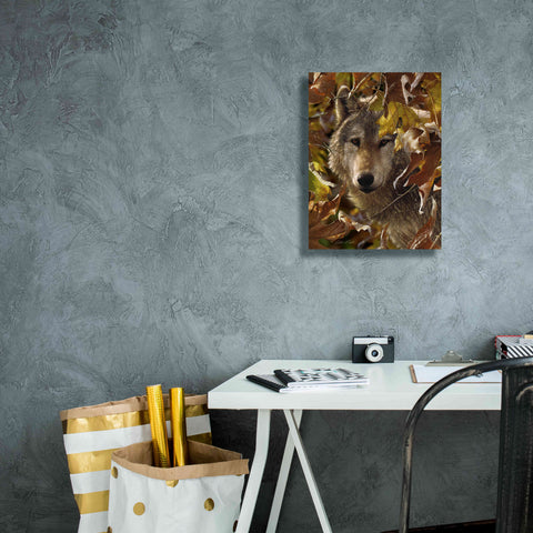 Image of 'Autumn Shadows' by Collin Bogle, Canvas Wall Art,12x16