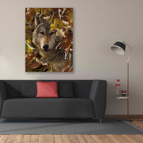 Image of 'Autumn Shadows' by Collin Bogle, Canvas Wall Art,40x54