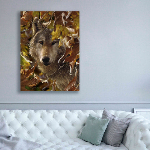 Image of 'Autumn Shadows' by Collin Bogle, Canvas Wall Art,40x54