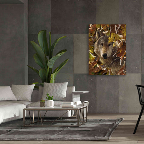 Image of 'Autumn Shadows' by Collin Bogle, Canvas Wall Art,40x54