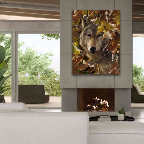 Image of 'Autumn Shadows' by Collin Bogle, Canvas Wall Art,40x54