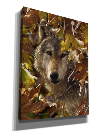 Image of 'Autumn Shadows' by Collin Bogle, Canvas Wall Art,Size C Portrait