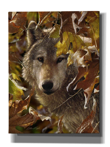 Image of 'Autumn Shadows' by Collin Bogle, Canvas Wall Art,Size C Portrait