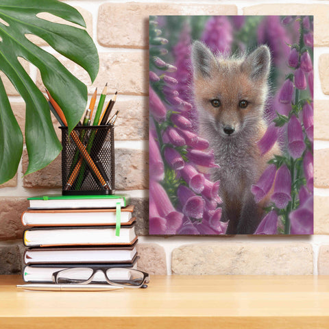Image of 'Fox Gloves' by Collin Bogle, Canvas Wall Art,12x16