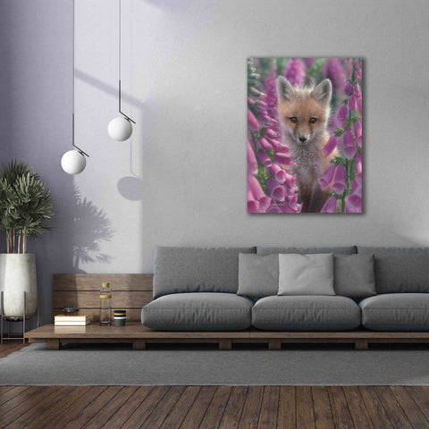Image of 'Fox Gloves' by Collin Bogle, Canvas Wall Art,40x54