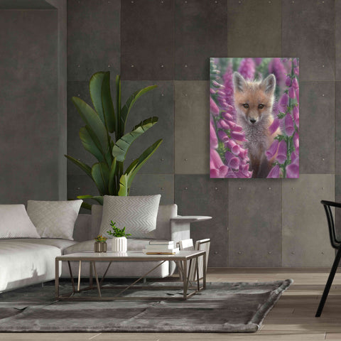 Image of 'Fox Gloves' by Collin Bogle, Canvas Wall Art,40x54