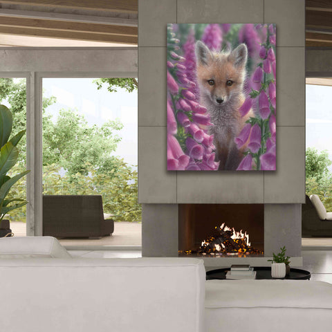 Image of 'Fox Gloves' by Collin Bogle, Canvas Wall Art,40x54