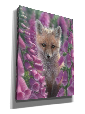Image of 'Fox Gloves' by Collin Bogle, Canvas Wall Art,Size C Portrait