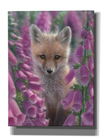 Image of 'Fox Gloves' by Collin Bogle, Canvas Wall Art,Size C Portrait