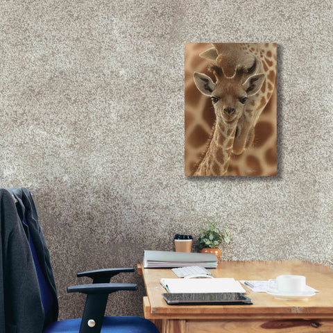 Image of 'New Born' by Collin Bogle, Canvas Wall Art,18x26
