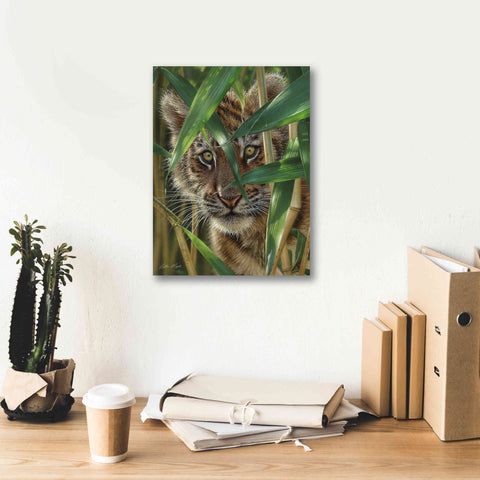 Image of 'Peekaboo' by Collin Bogle, Canvas Wall Art,12x16