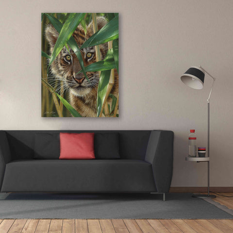 Image of 'Peekaboo' by Collin Bogle, Canvas Wall Art,40x54