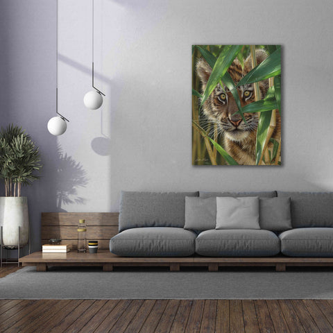 Image of 'Peekaboo' by Collin Bogle, Canvas Wall Art,40x54